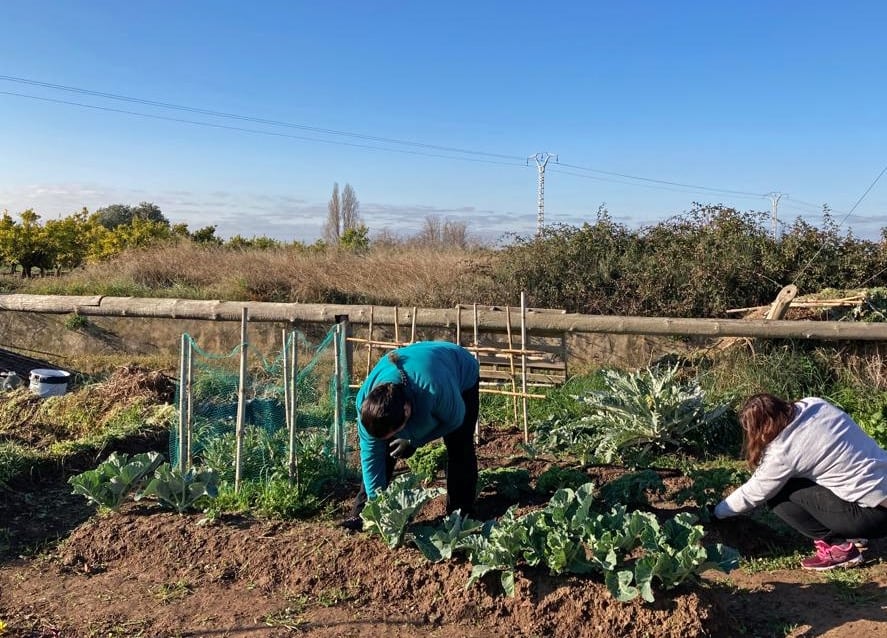 La agricultura familiar cumple un rol crucial para alcanzar la soberanía alimenticia.