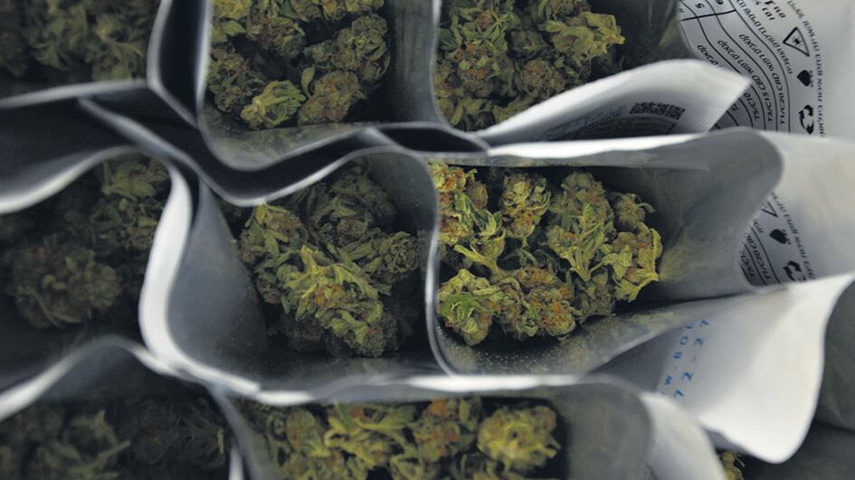 Entre otros usos medicinales, el cannabis disminuye los efectos secundarios de la quimioterapia.