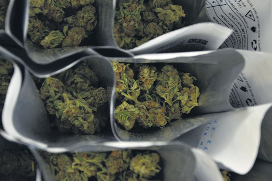 Entre otros usos medicinales, el cannabis disminuye los efectos secundarios de la quimioterapia.