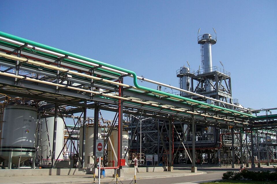 Proponen aumentar la producción de biodiesel para sustituir importaciones.