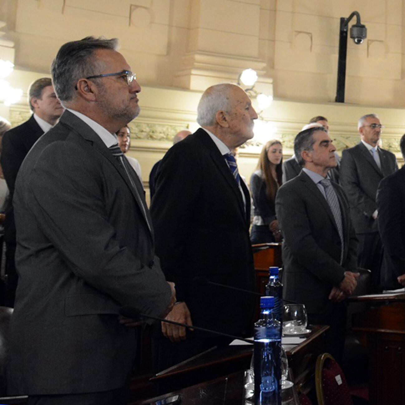  Lewandoswski, Kaufmann y Traferri, senadores provinciales.
