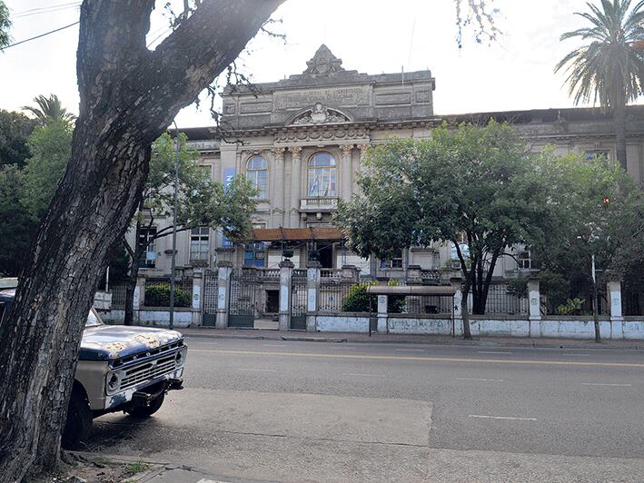 En el Instituto Malbrán aseguran que cuentan con antídotos para picaduras de alacrán.