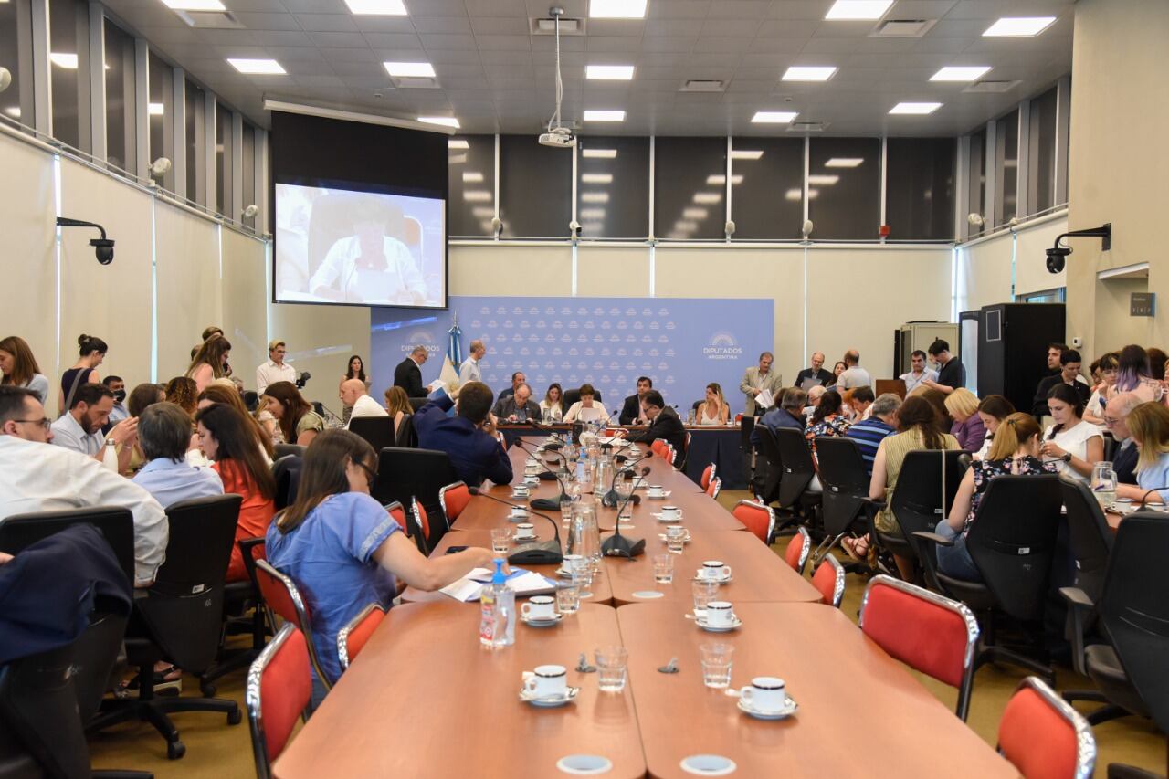 Plenario de comisiones que trató el proyecto de creación de universidades nacionales 