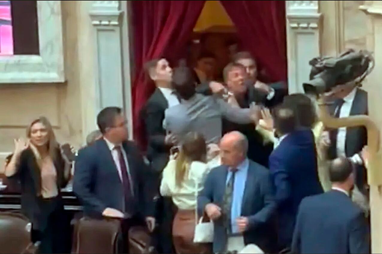 Libertarios a las piñas en la última sesión de la Cámara de Diputados.