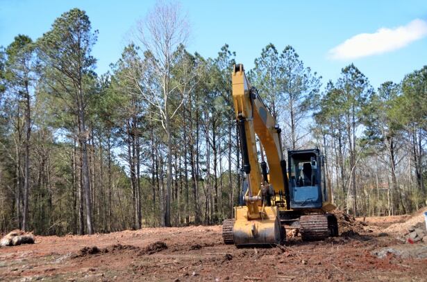 La provincia de Córdoba se encuentra en emergencia forestal, ya que sólo le quedan el 4% de sus bosques nativos originales.