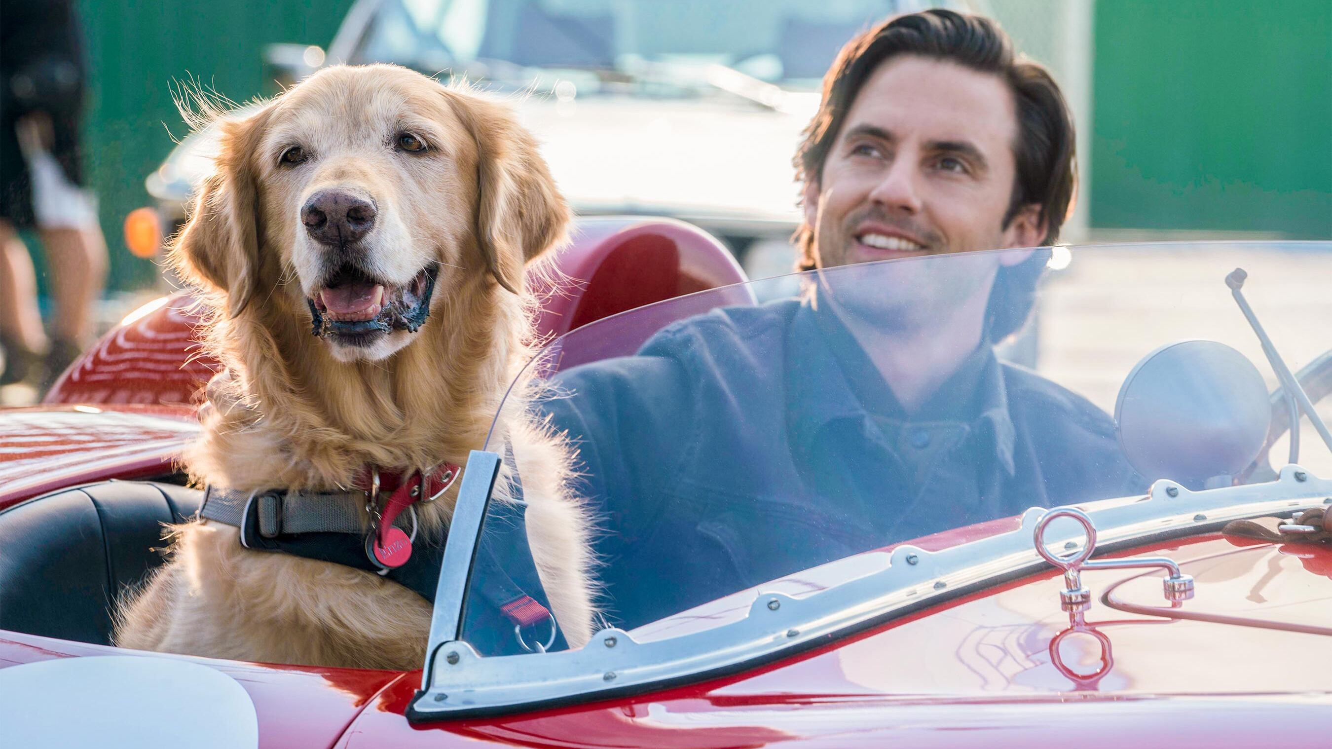 Mi amigo Enzo logra crear algunos climas emotivos con herramientas genuinas.