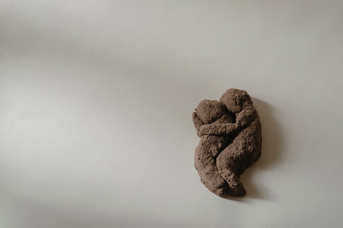 Ana Gallardo, Los Pedimentos