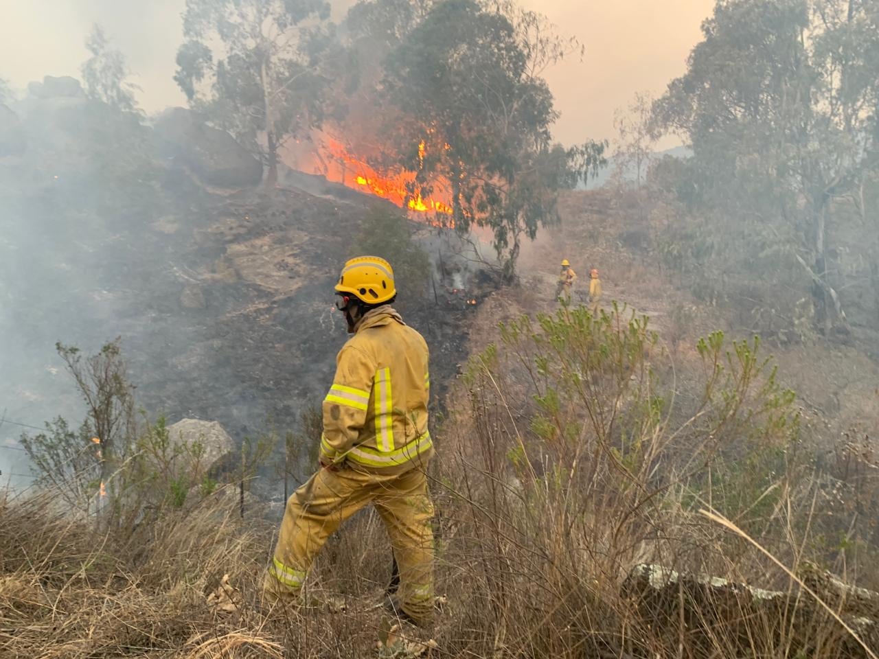 Gorgojo Otamendi en una jornada de trabajo en el sur de Córdoba, cerca de Río Cuarto. 