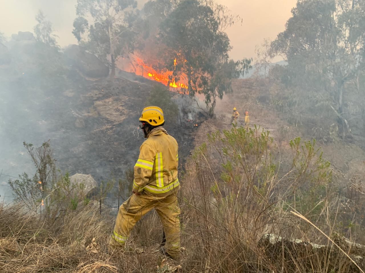 Gorgojo Otamendi en una jornada de trabajo en el sur de Córdoba, cerca de Río Cuarto.