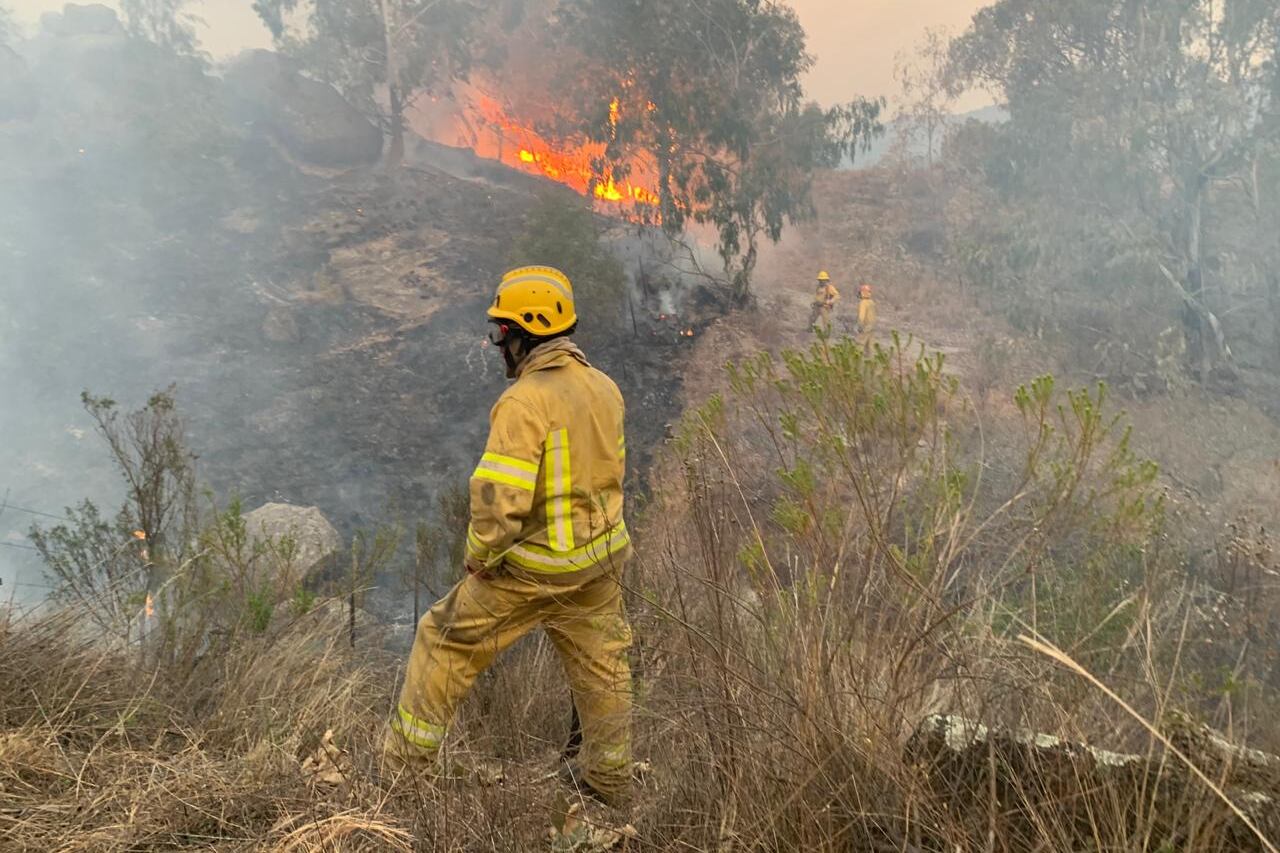 Gorgojo Otamendi en una jornada de trabajo en el sur de Córdoba, cerca de Río Cuarto.