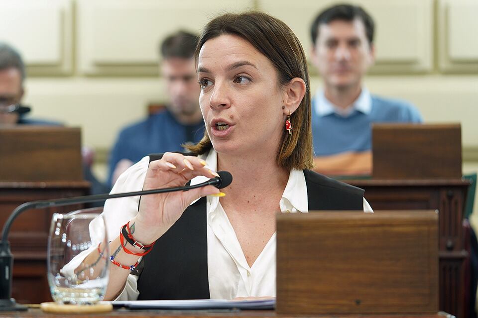 La diputada De Ponti denunció la declaraciones agraviantes del juez.