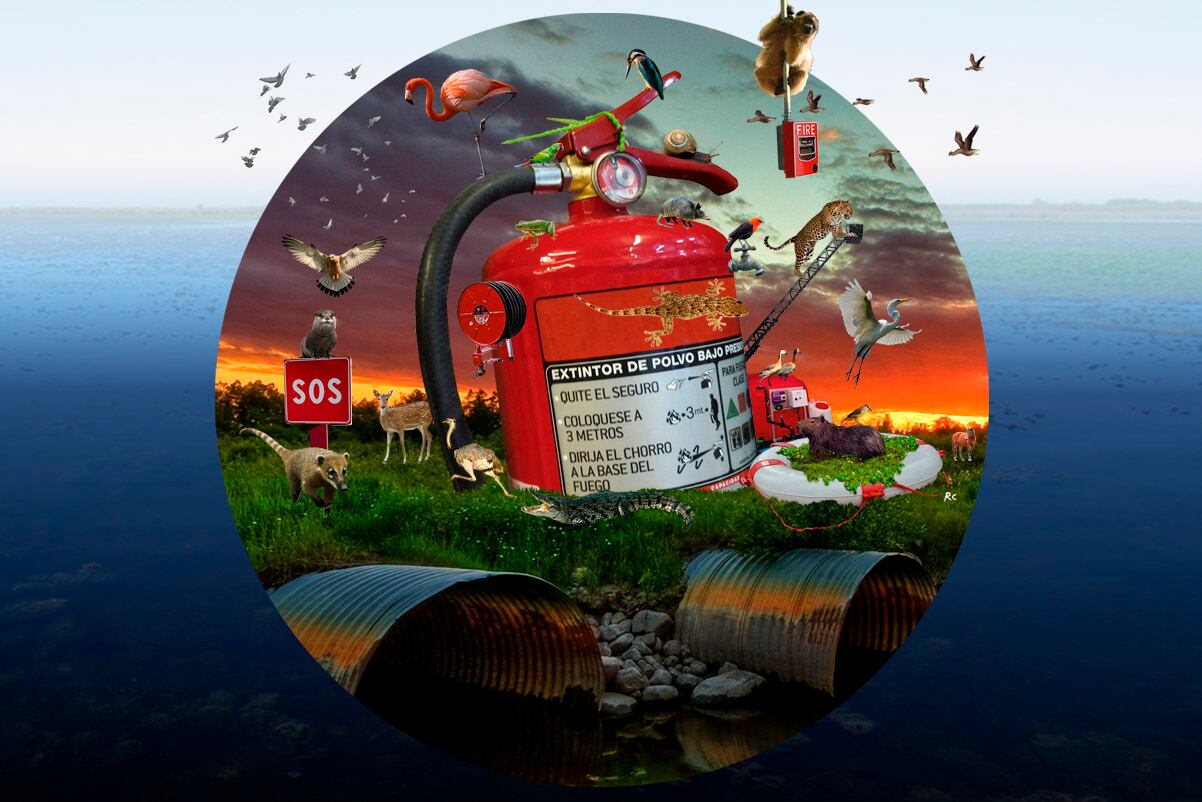 Ilustración: Reinaldo Cortés