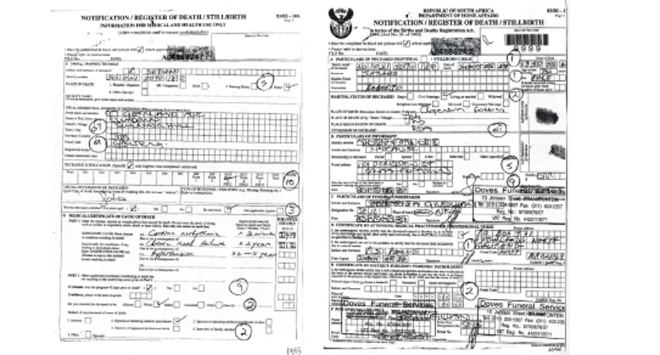 Las firmas del formulario habrían sido obra de una misma persona, que podría ser el propio Vildoza.
