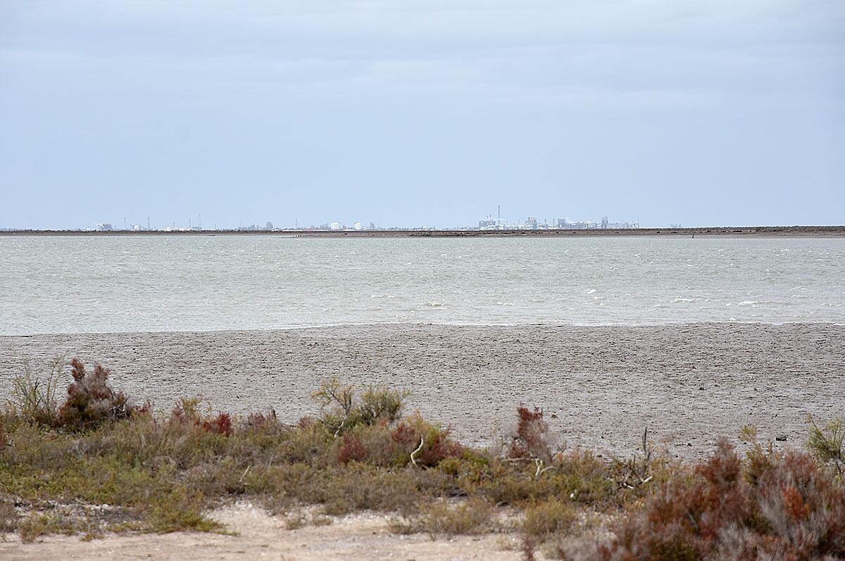 Creimer indicó cómo debería hacerse el registro en el lugar donde fue hallado el cuerpo.