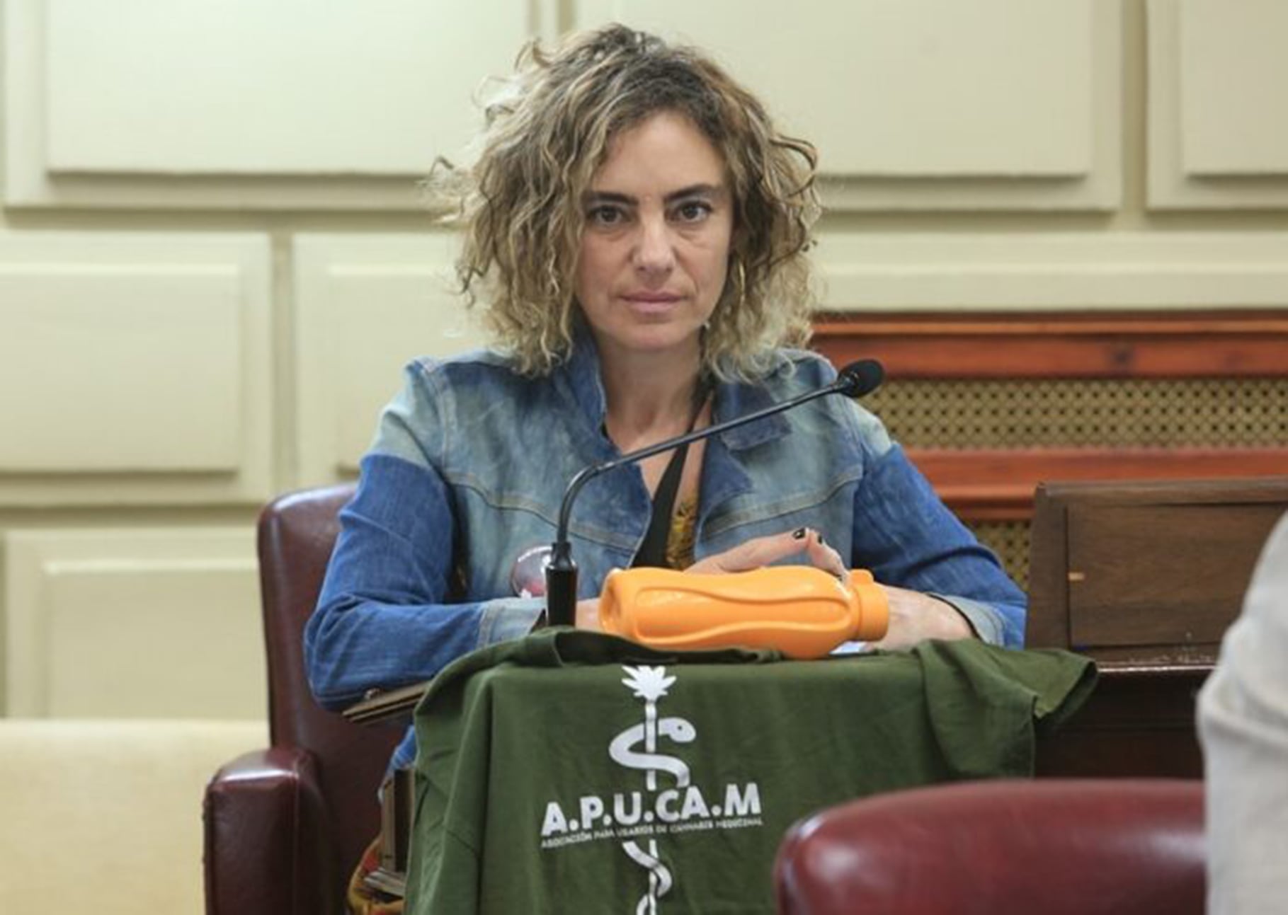 Peralta apuntó a la falta de decisión política para equipar a docentes.