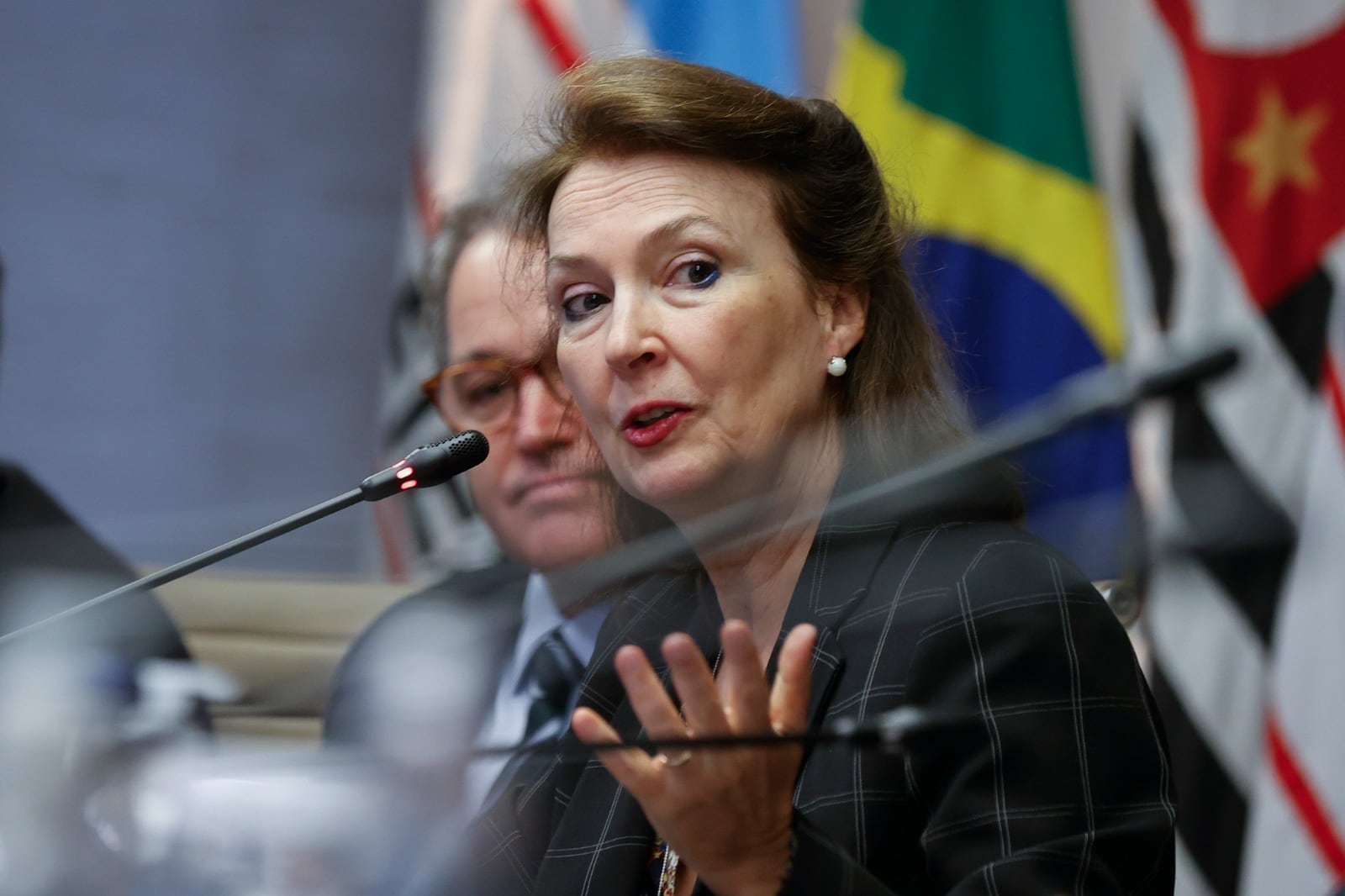 Diana Mondino fue la encargada de entregar la misiva en Itamaraty.