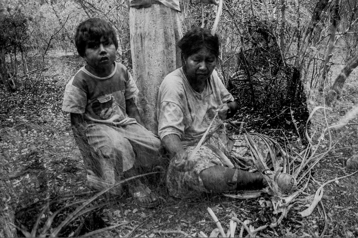 Parte de "Posverdad" de Martín García Olivares.