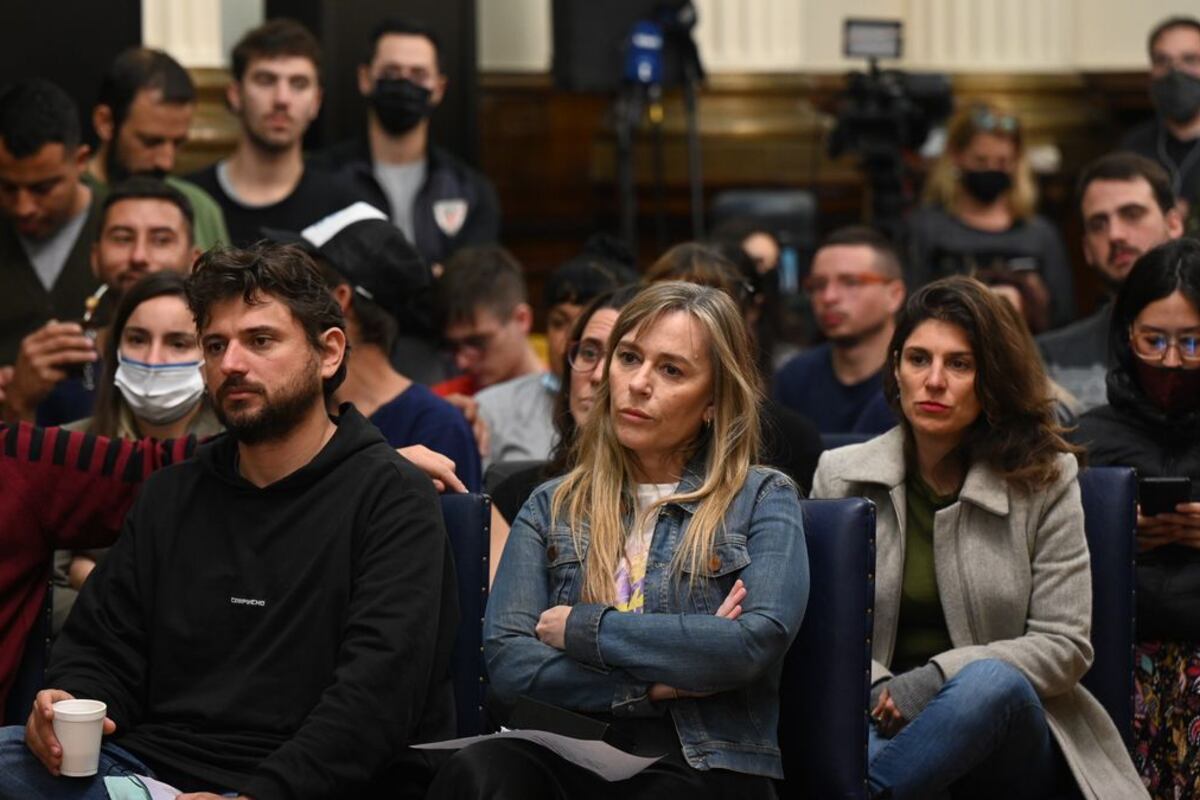 La senadora Juliana Di Tullio avanza con la iniciativa que reclaman los movimientos sociales.