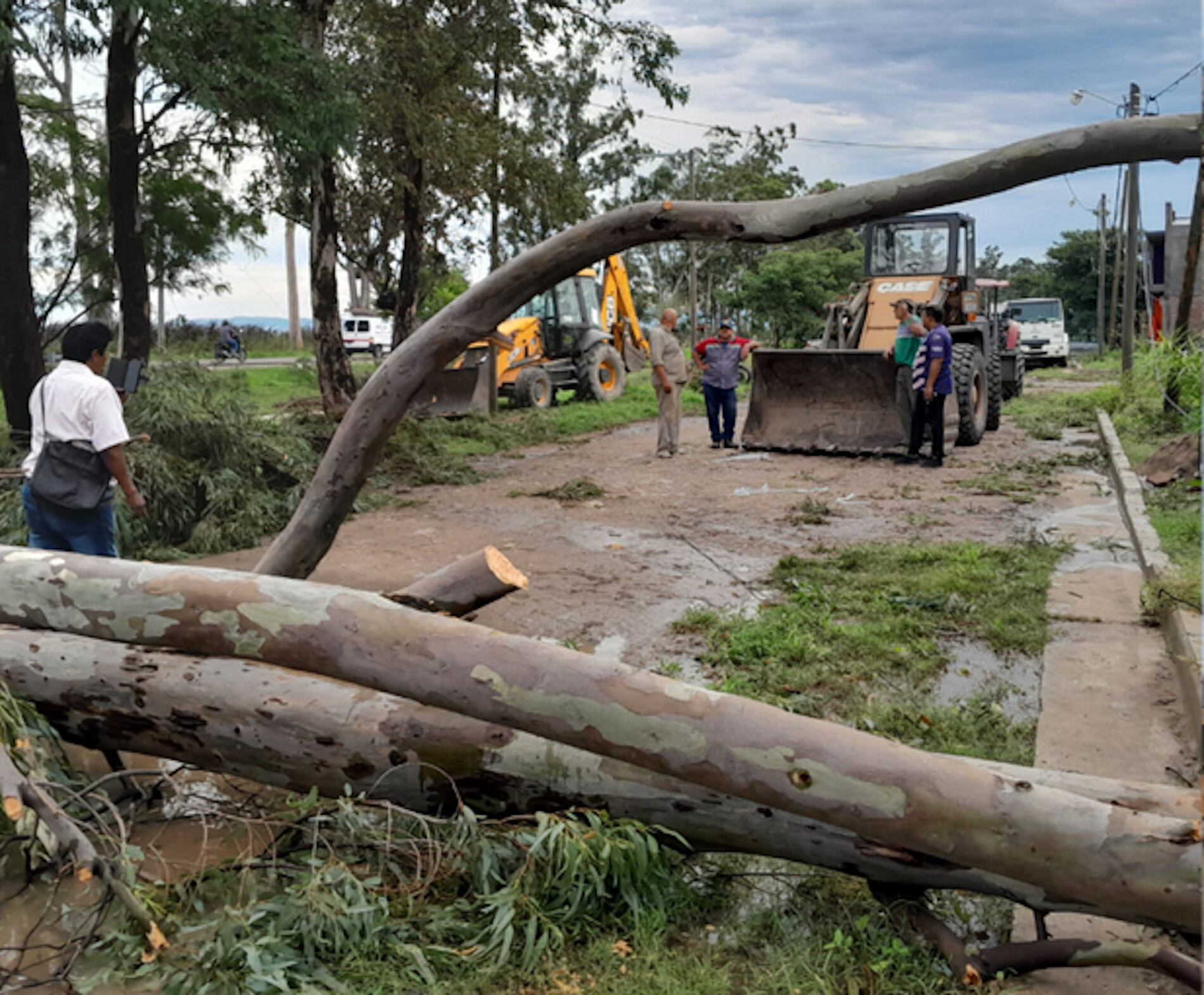 Ruta provincial 11, entre Güemes y Campo Santo