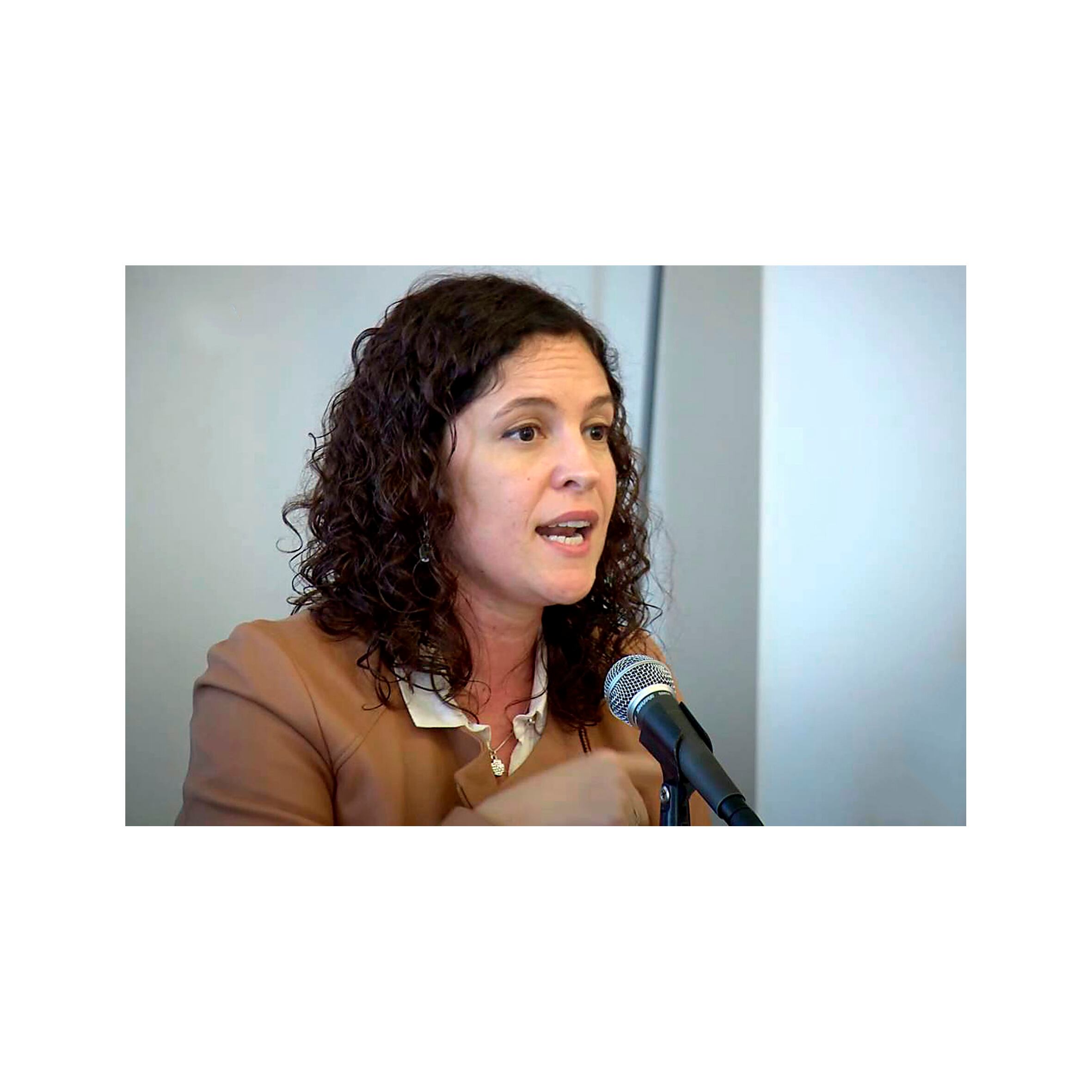 Carla Cerliani es la titular de la Unidad Fiscal especializada.