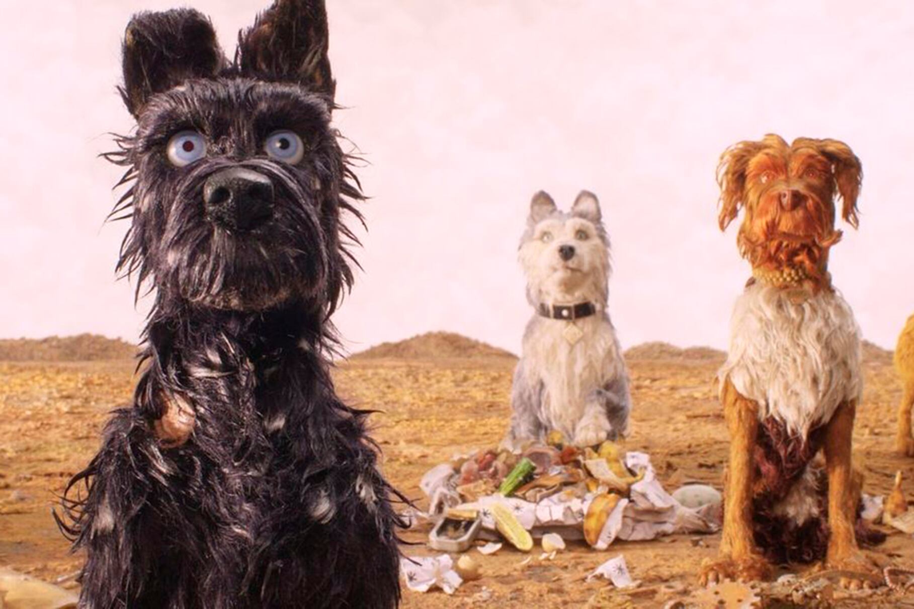 Todos los perros de Japón son llevados a una isla de basura, debido a una enfermedad.