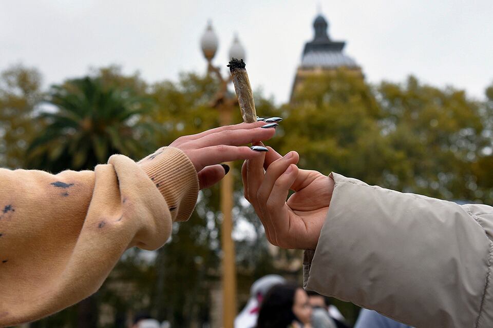 "Por una nueva ley de drogas" es una de las consignas.