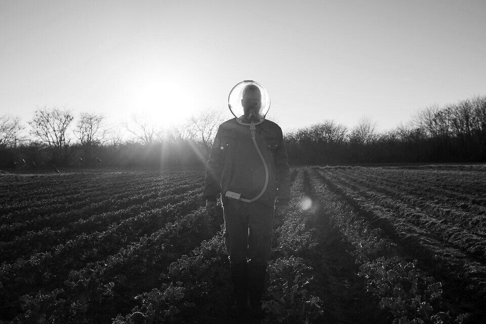 La película de Ana Katz llegó a la ceremonia con diecisiete nominaciones.