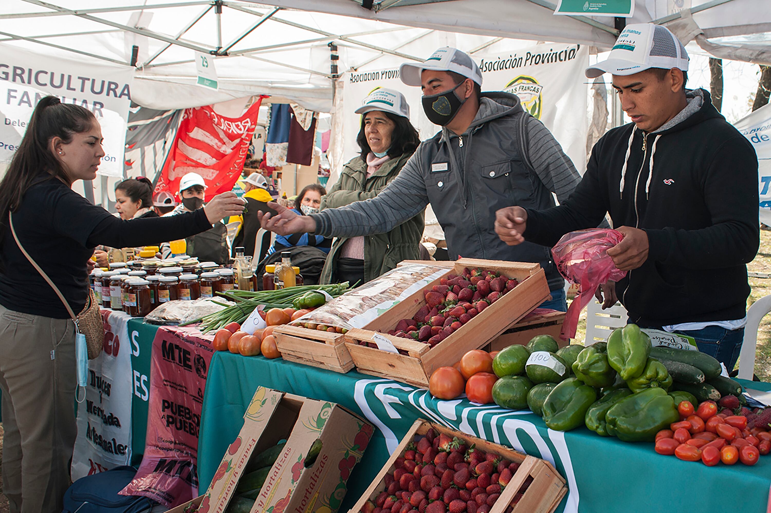 Promover el fortalecimiento de pequeños productores, de capitales nacionales, que ofrecen productos agroecológicos.