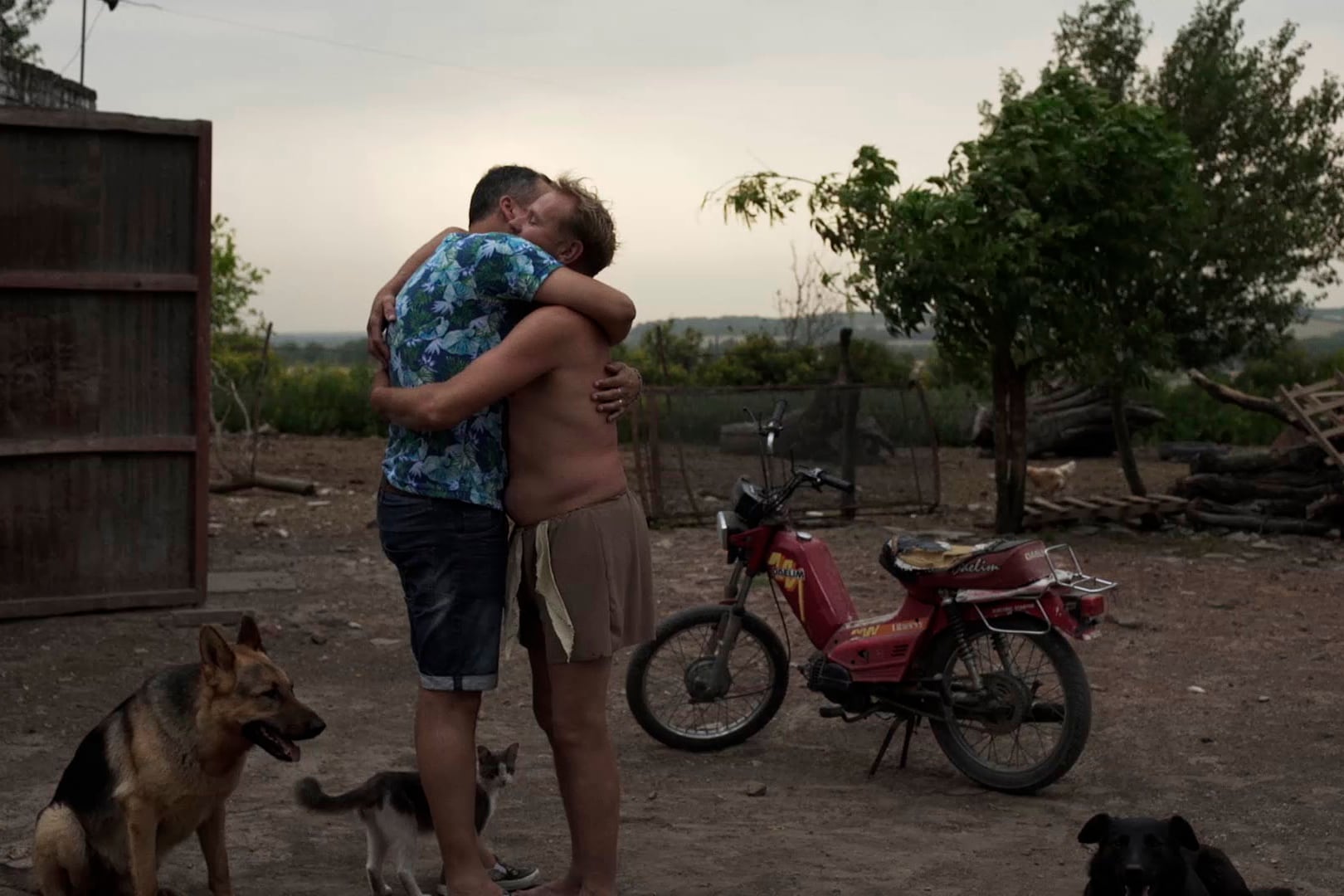 La película fue estrenada en la sección Zabaltegi-Tabakalera del Festival de San Sebastián