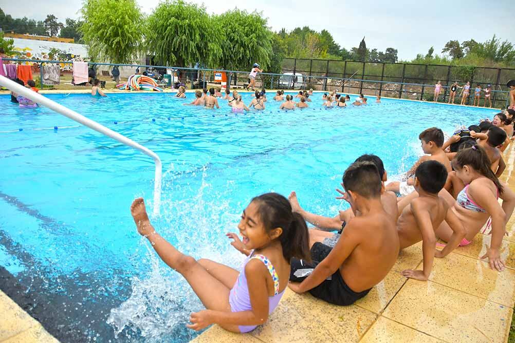 Las colonias cuentan con 10.000 participantes.