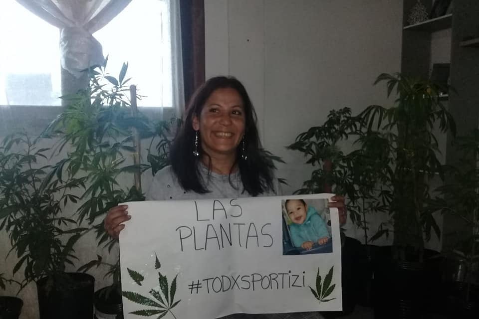 Aracelli Rea cultiva para tratar con aceite de cannabis a su nieto con epilepsia refractaria.