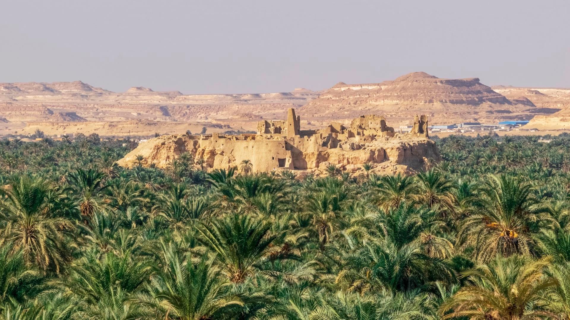 La antigua ciudadela de barro en Siwa.