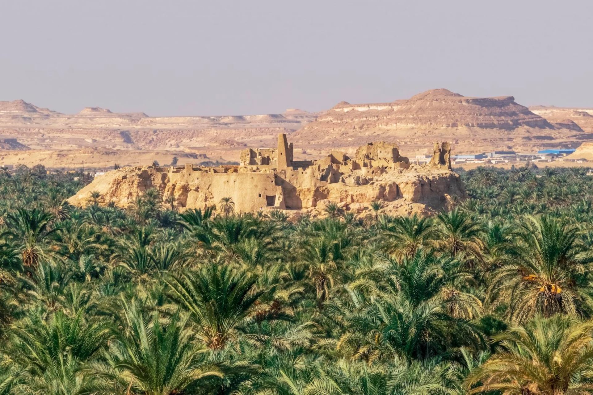 La antigua ciudadela de barro en Siwa.