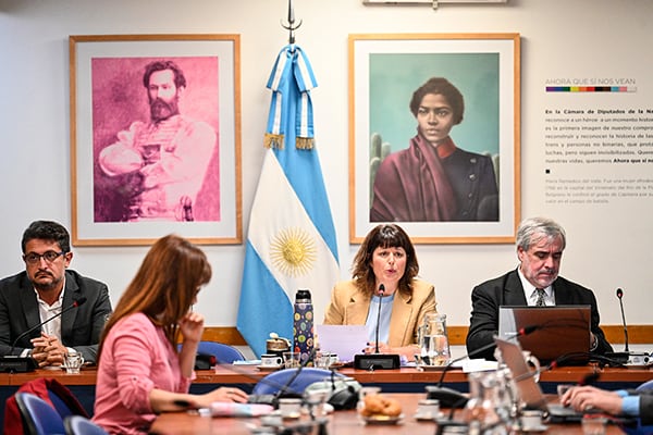 La presidenta de la comisión, Carolina Gaillard, encabezó el proceso que duró casi un año.