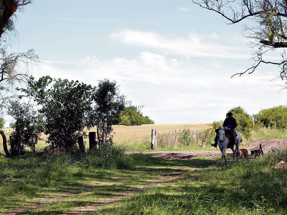Uno de los campos del grupo económico Etchevehere.