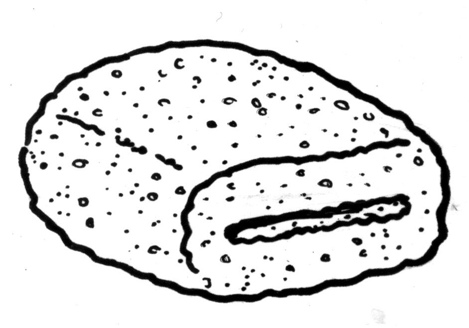 Uno de los Cosos de Podeti