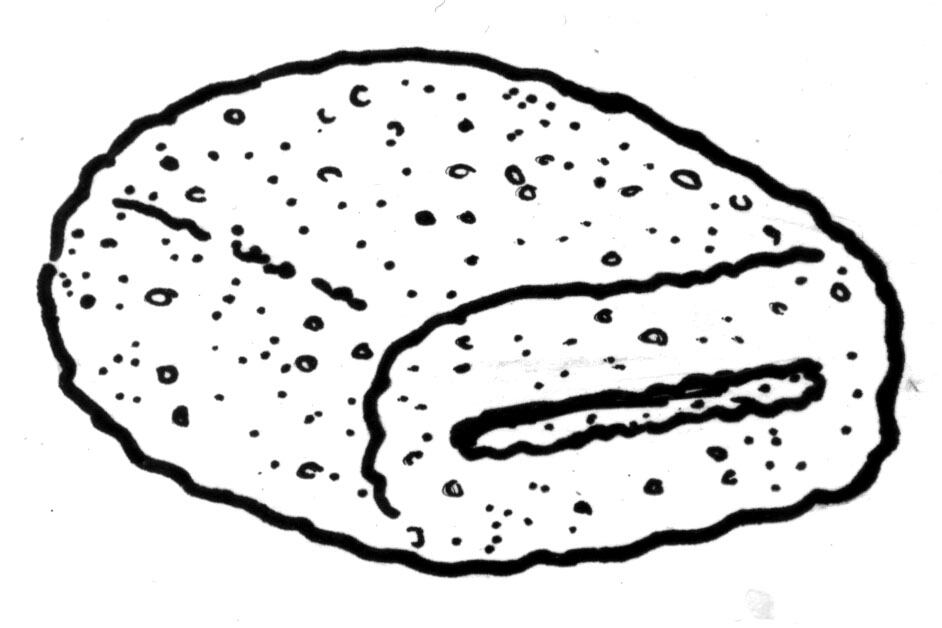 Uno de los Cosos de Podeti