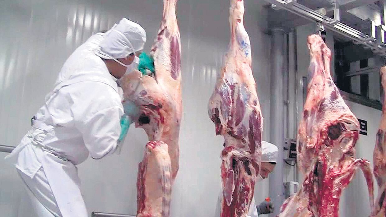 La industria frigorífica es una de las más bloqueadas para acceder a los mercados europeos.
