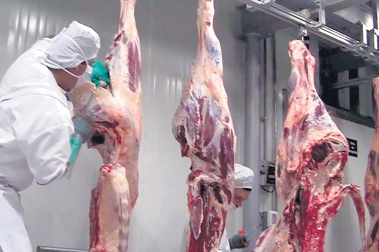 La industria frigorífica es una de las más bloqueadas para acceder a los mercados europeos.