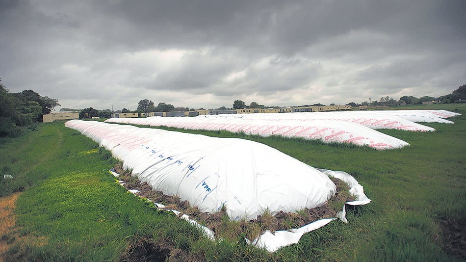 El año pasado el agro obtuvo 48.015 millones de dólares adicionales por la baja de las retenciones.