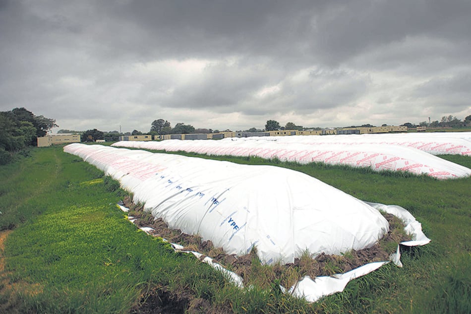 El año pasado el agro obtuvo 48.015 millones de dólares adicionales por la baja de las retenciones.