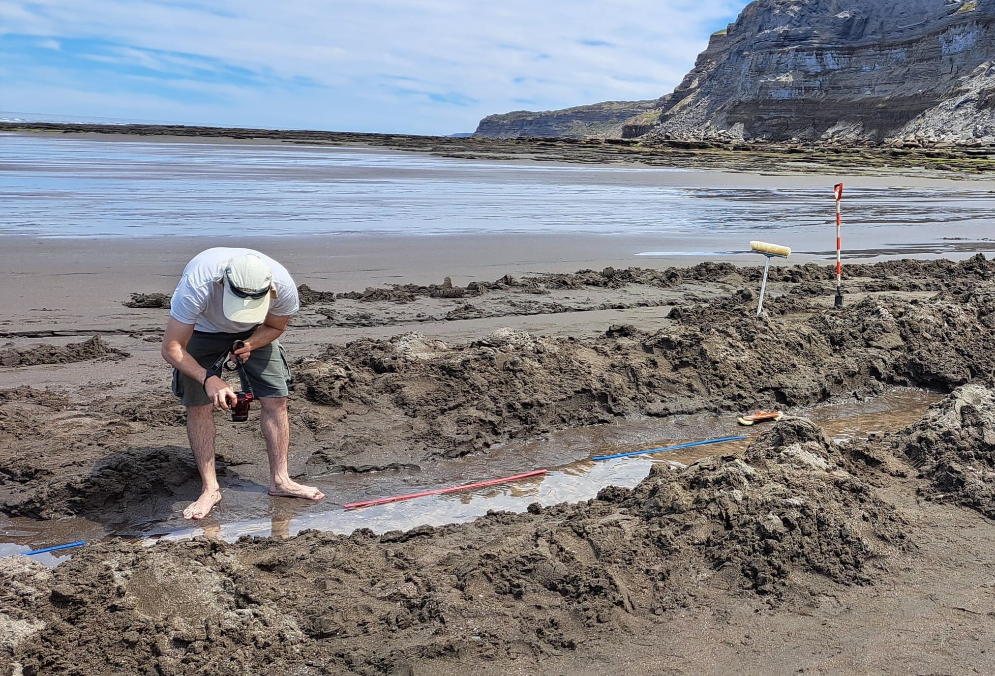 Las pisadas fueron localizadas en las Áreas Naturales Protegidas Punta Bermeja, Caleta de los Loros y Pozo Salado