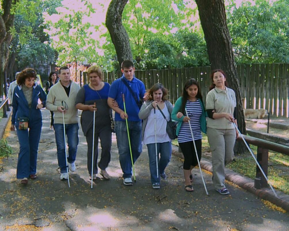 En 2020, organizaciones sociales, feministas y de los derechos de personas con discapacidad lanzaron la campaña "Basta de esterilizaciones forzadas".