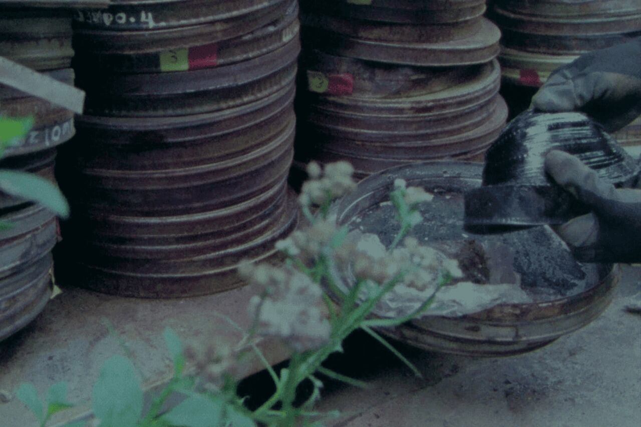 Solo un 50% del cine sonoro en fílmico sobrevive hasta nuestros días.