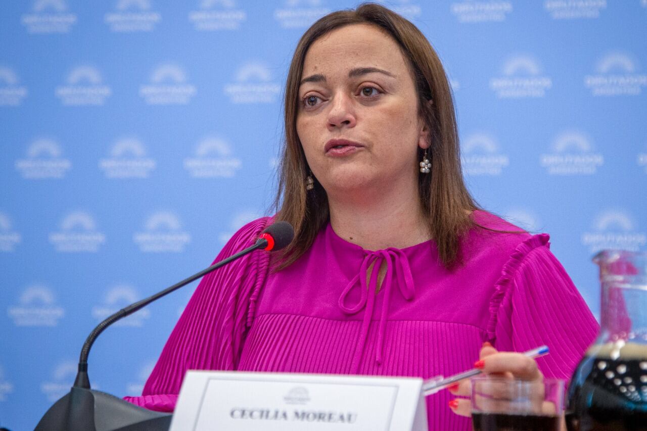 Moreau es la actual vicepresidenta de la Cámara de Diputados. 