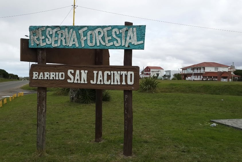 La zona donde aparecieron los perros muertos. 