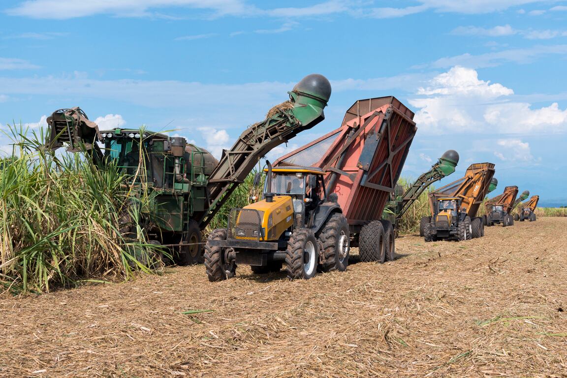 Trabajo en el campo de El Tabacal 