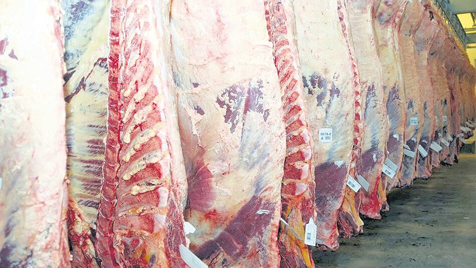 El rubro carnes fue el que más aumentó a nivel mayorista en febrero, según el Indec.