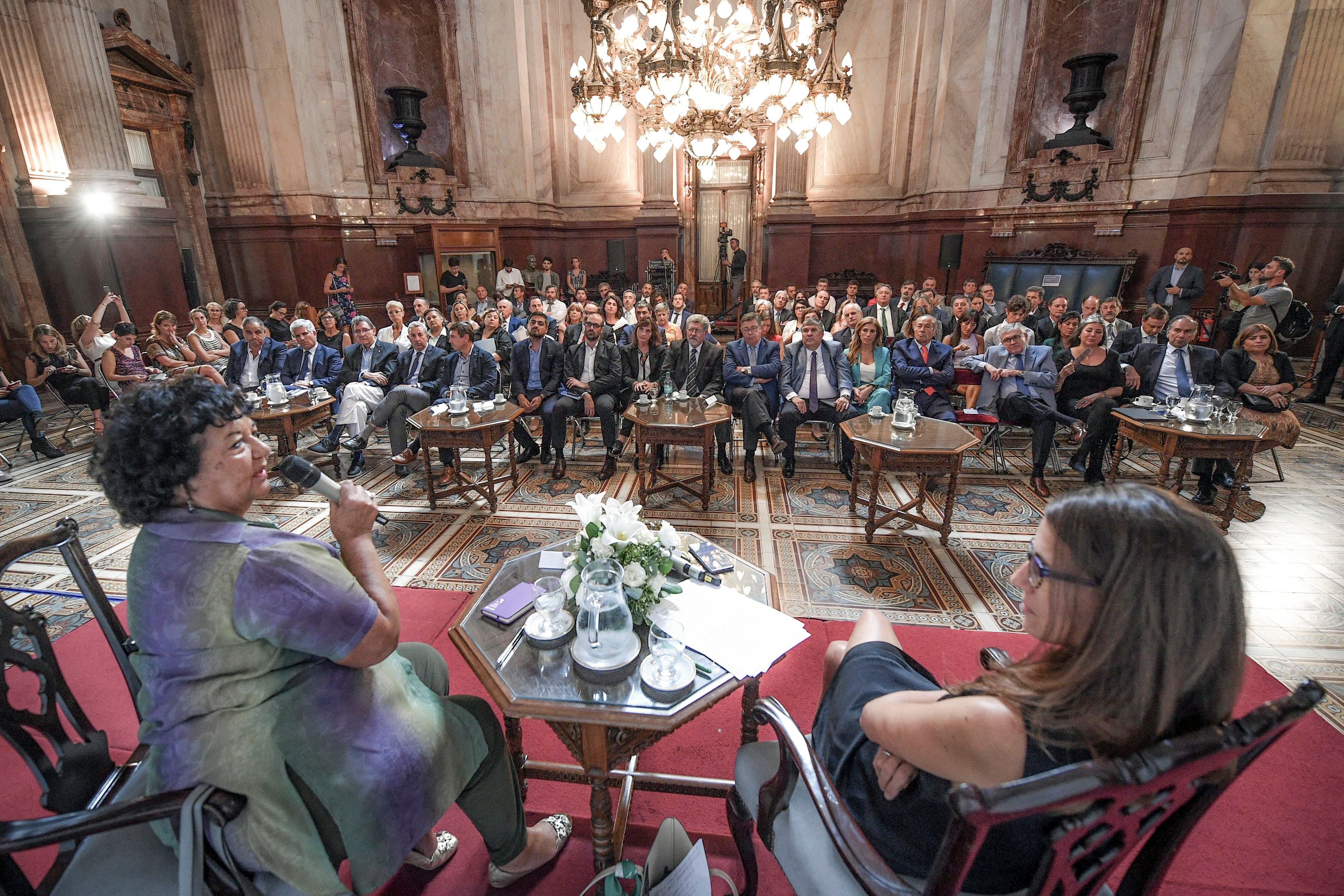 Elizabeth Gómez Alcorta y Dora Barrancos expusieron ante los senadores. 