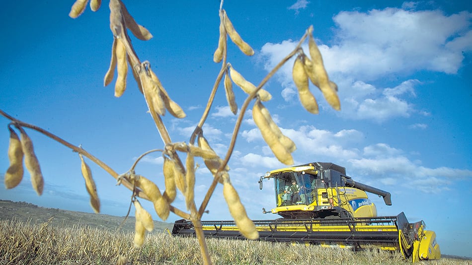 “No se sale apelando a un destino prometido”, afirman los de CRA.
